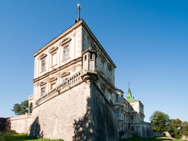 Pałac w Podhorcach, Instytut POLONIKA