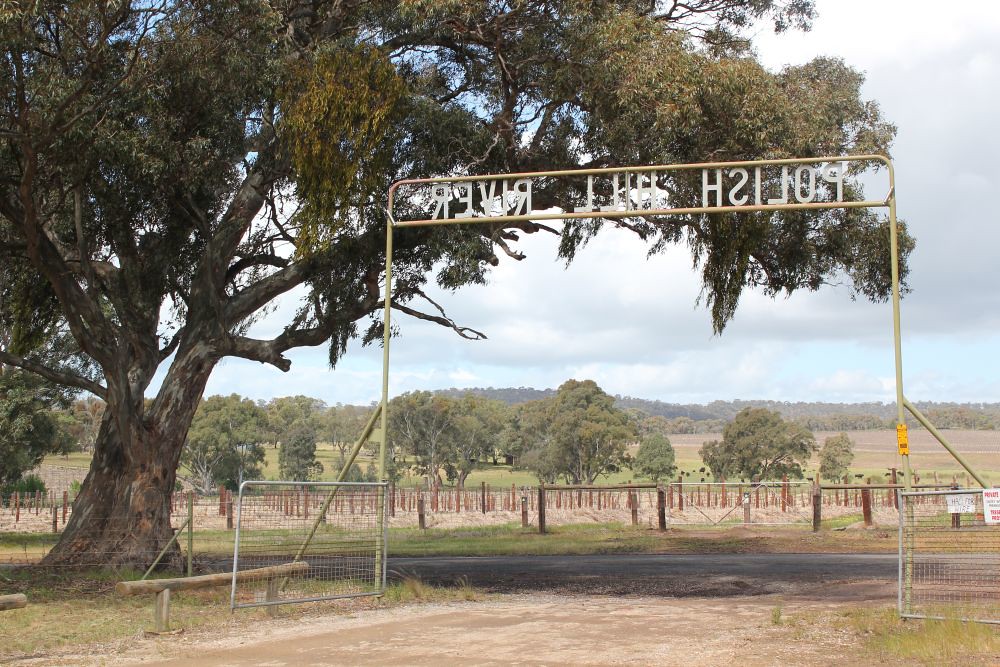 Polish Hill River położona jest w znanym z uprawy wina regionie Clare Valley. fot. South Australian History Network (flickr.com)