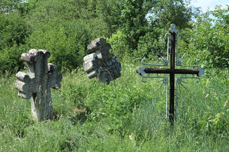 Dawny Powiat Tarnopolski, Kokutkowce, Instytut POLONIKA