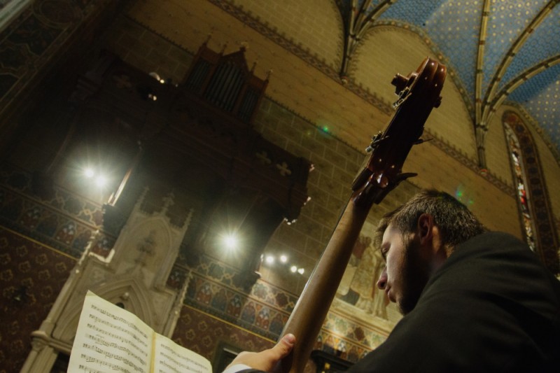 Koncert organowy w Katedrze Łacińskiej, Instytut POLONIKA