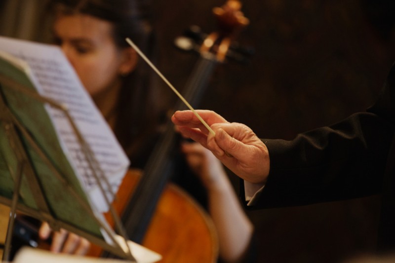 Koncert organowy w Katedrze Łacińskiej, Instytut POLONIKA