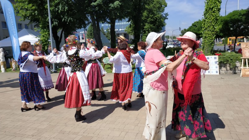 Kultura pamięci o dawnych Kresach Wschodnich, Instytut POLONIKA