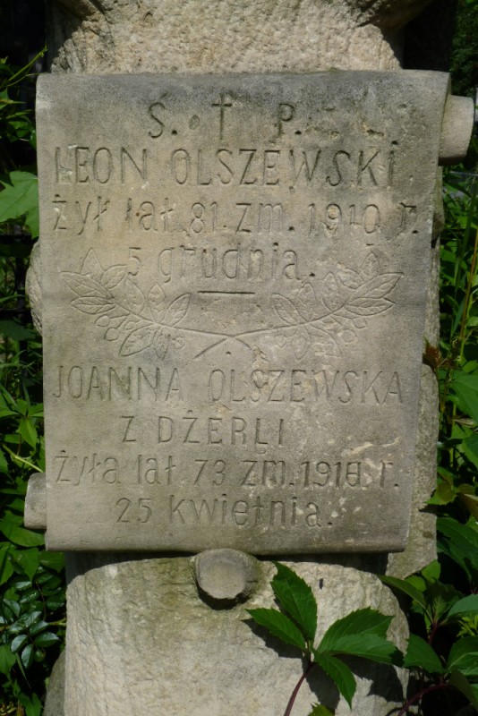 Nagrobek rodziny Olszewskich w Sorokach, Instytut POLONIKA