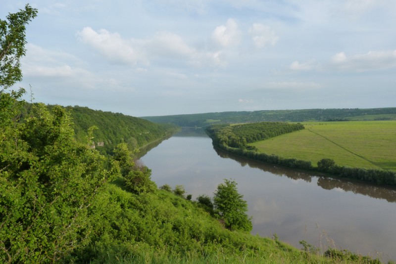 Dwór w Dźwinogrodzie nad Dniestrem, Instytut POLONIKA