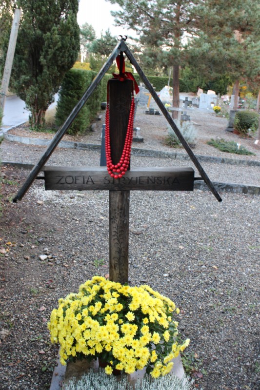 Grób Zofii Stryjeńskiej na cmentarzu w Chêne-Bourg, Instytut POLONIKA