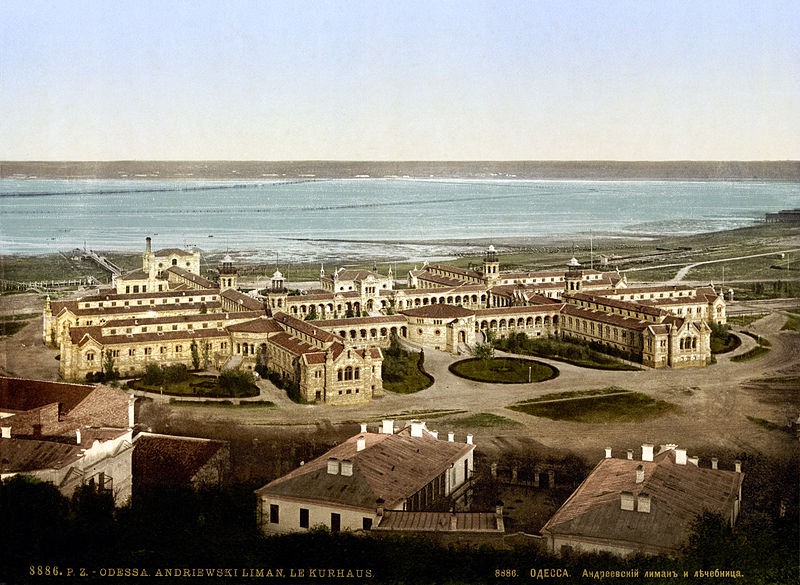 Odessa – sanatorium nad Limanem Kujalnickim, Instytut POLONIKA