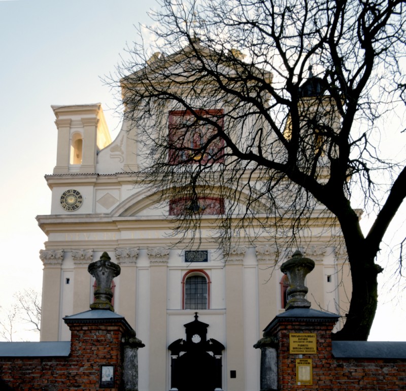 Kościół p.w. św. Trójcy, Ołyka, Instytut POLONIKA