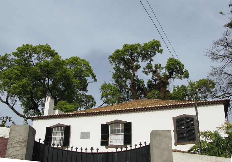 m01-willa-quinta-bettencourt-funchal-wikipedia249