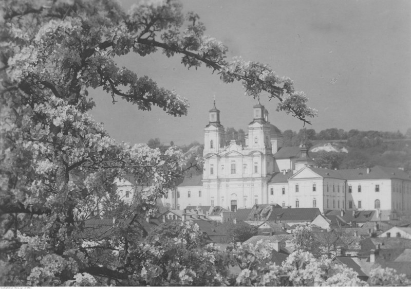 Widok na Liceum Krzemienieckie