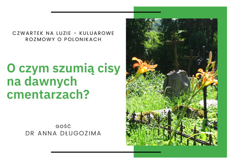 O czym szumią cisy na dawnych cmentarzach?