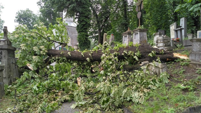 Zniszczenia na cmentarzu Łyczakowskim we Lwowie