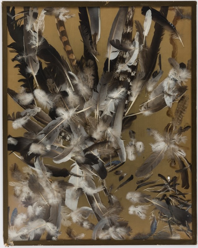 Georges van Haardt, Kompozycja z ptasich piór, 1964