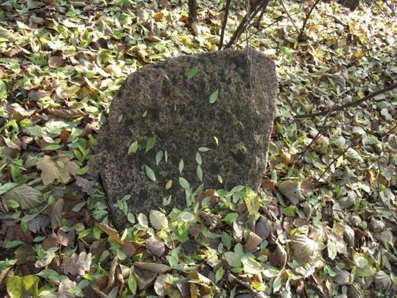 Konserwacja cmentarzy tatarskich w Sorok Tatarach na Litwie, Instytut POLONIKA
