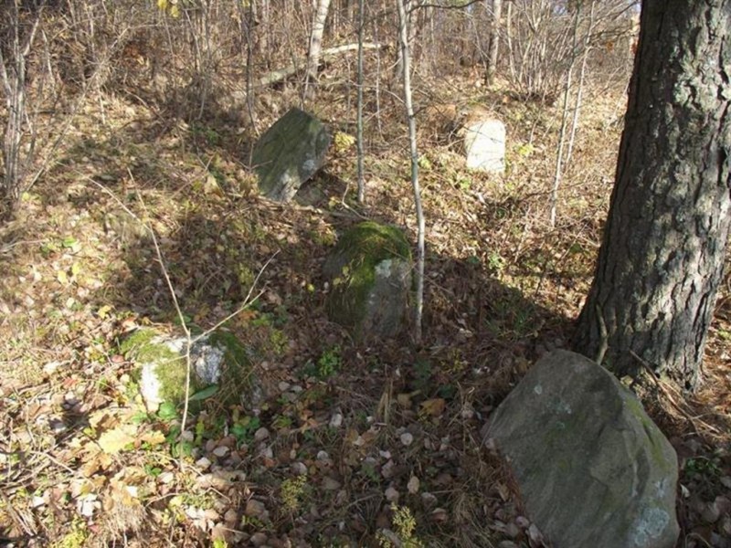 Konserwacja cmentarzy tatarskich w Sorok Tatarach na Litwie, Instytut POLONIKA
