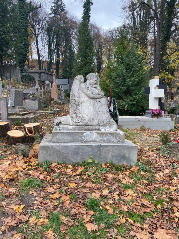 Prace restauratorsko-konserwatorskie na cmentarzu Łyczakowskim, Instytut POLONIKA
