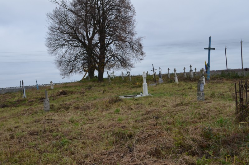 Porządkujemy Zapomniane Cmentarze Pogranicza, Instytut POLONIKA