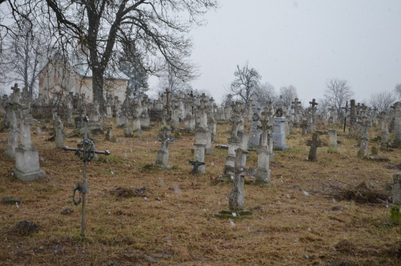 Porządkujemy Zapomniane Cmentarze Pogranicza, Instytut POLONIKA