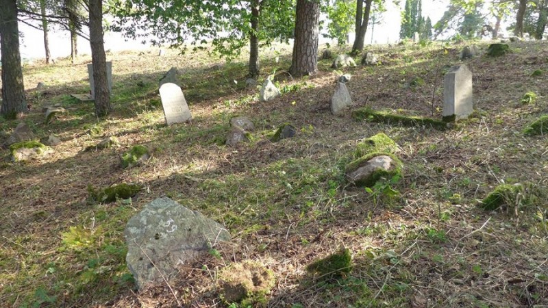 Konserwacja cmentarza tatarskiego w Starej Zireci, Instytut POLONIKA