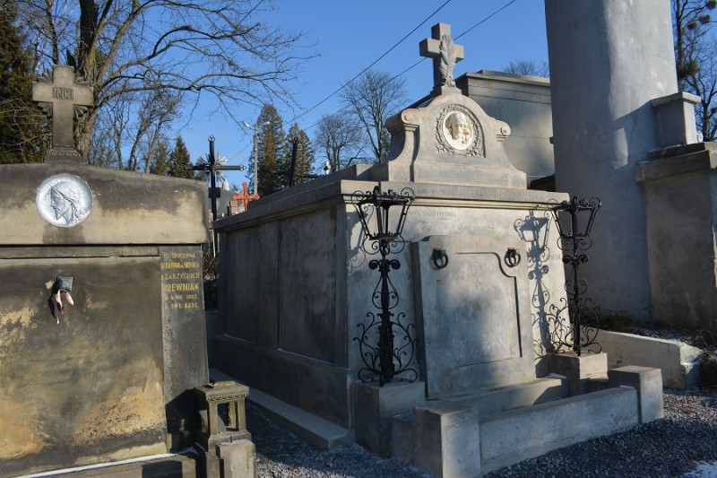 Prace konserwatorskie na cmentarzu Janowskim we Lwowie, Instytut POLONIKA