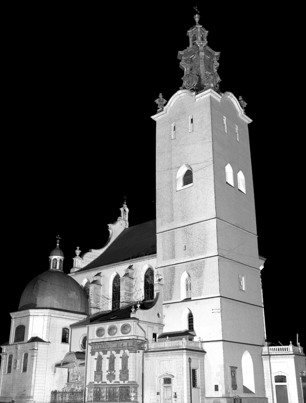 Lwów katedra łacińska scaning