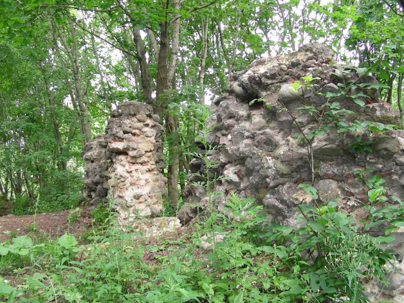 Kamienne ruiny zamku w otoczeniu drzew