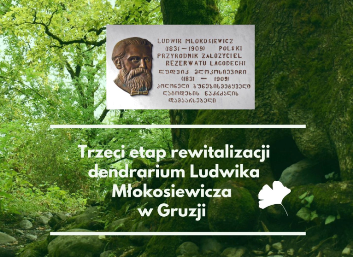 Otwórz zdjęcie Rewitalizacja dendrarium Ludwika Młokosiewicza