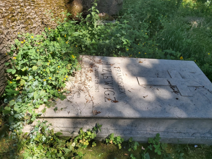 Otwórz zdjęcie 